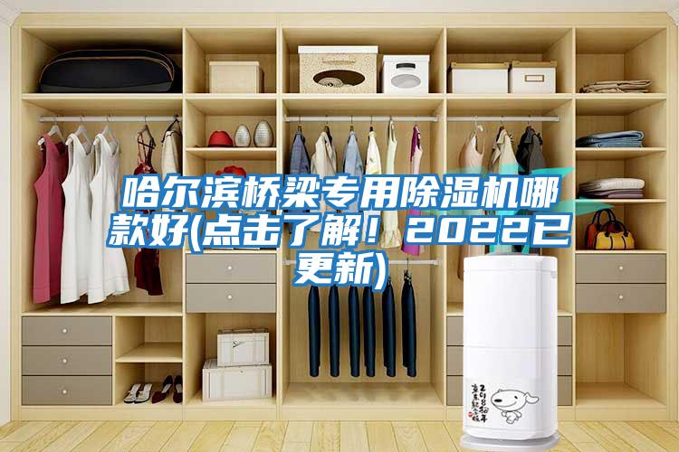 哈爾濱橋梁專用除濕機哪款好(點擊了解！2022已更新)