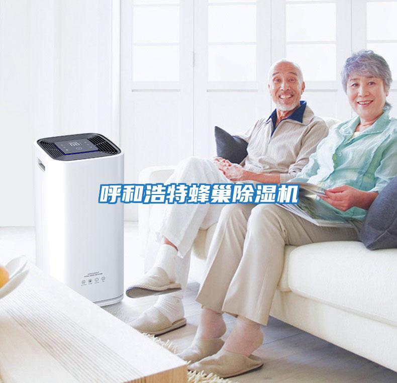 呼和浩特蜂巢除濕機