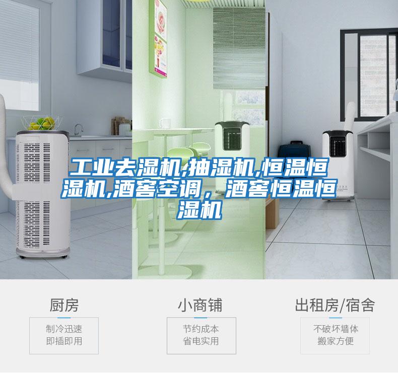工業去濕機,抽濕機,恒溫恒濕機,酒窖空調，酒窖恒溫恒濕機
