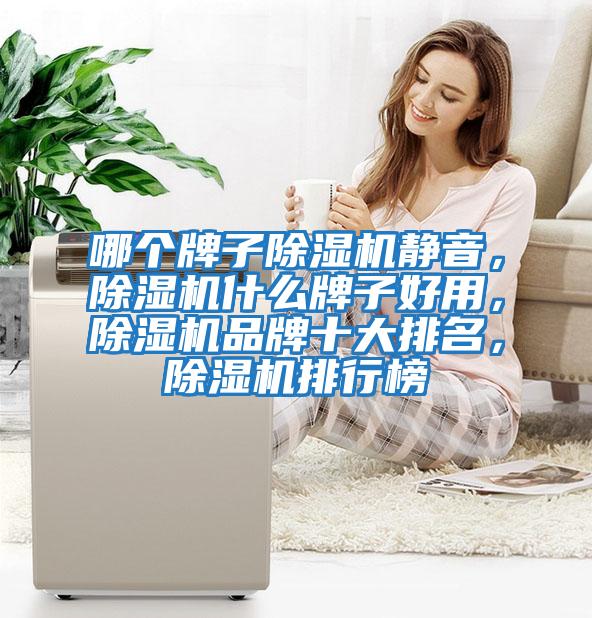 哪個牌子除濕機靜音，除濕機什么牌子好用，除濕機品牌十大排名，除濕機排行榜