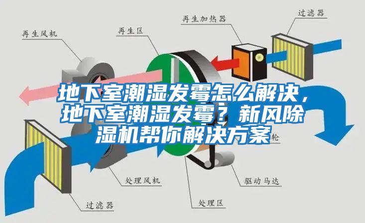 地下室潮濕發(fā)霉怎么解決，地下室潮濕發(fā)霉？新風(fēng)除濕機(jī)幫你解決方案