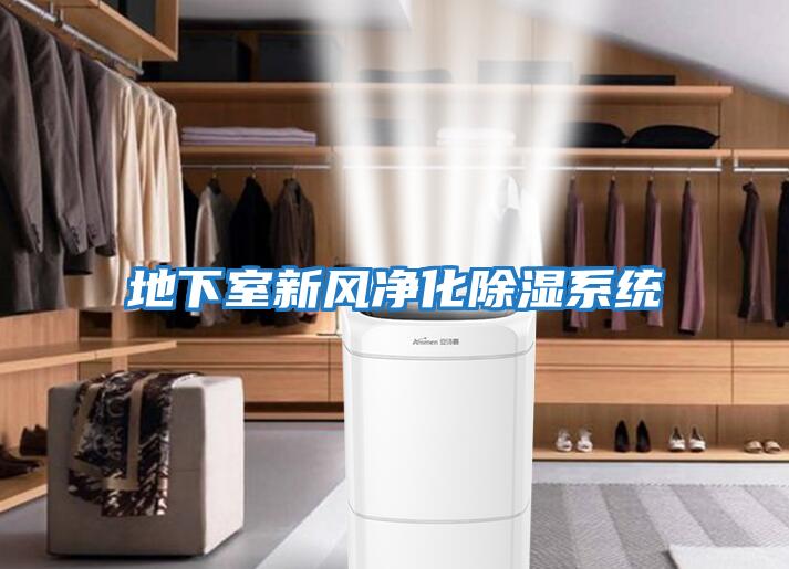 地下室新風凈化除濕系統(tǒng)