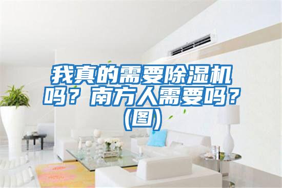 我真的需要除濕機嗎？南方人需要嗎？(圖)