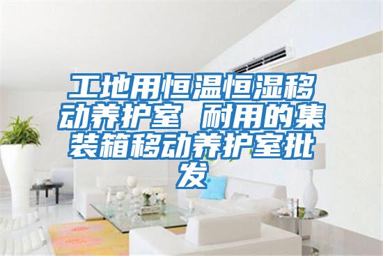 工地用恒溫恒濕移動養護室 耐用的集裝箱移動養護室批發