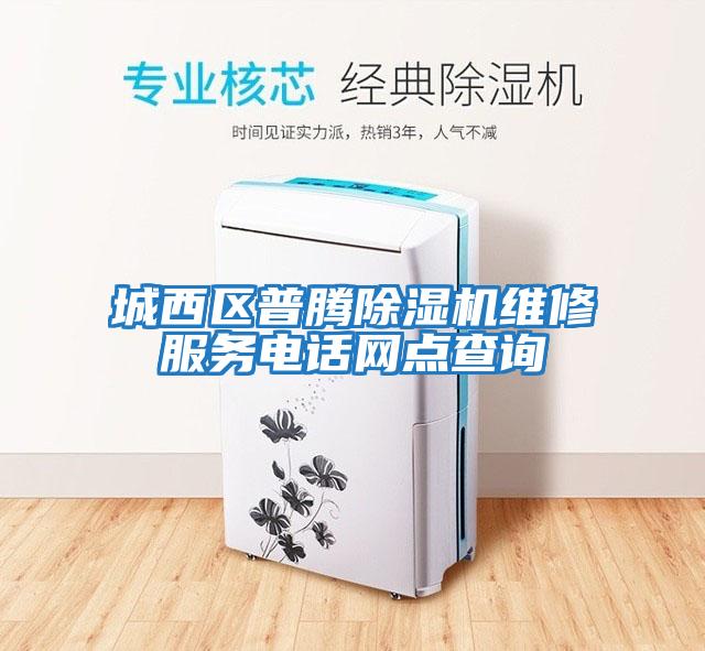 城西區普騰除濕機維修服務電話網點查詢