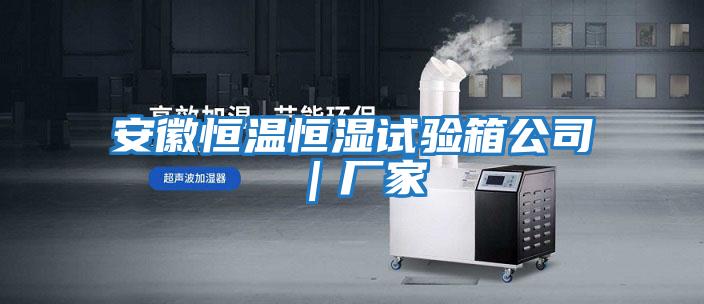 安徽恒溫恒濕試驗箱公司|廠家