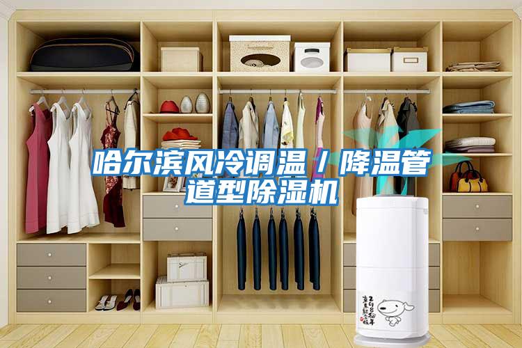 哈爾濱風冷調溫／降溫管道型除濕機