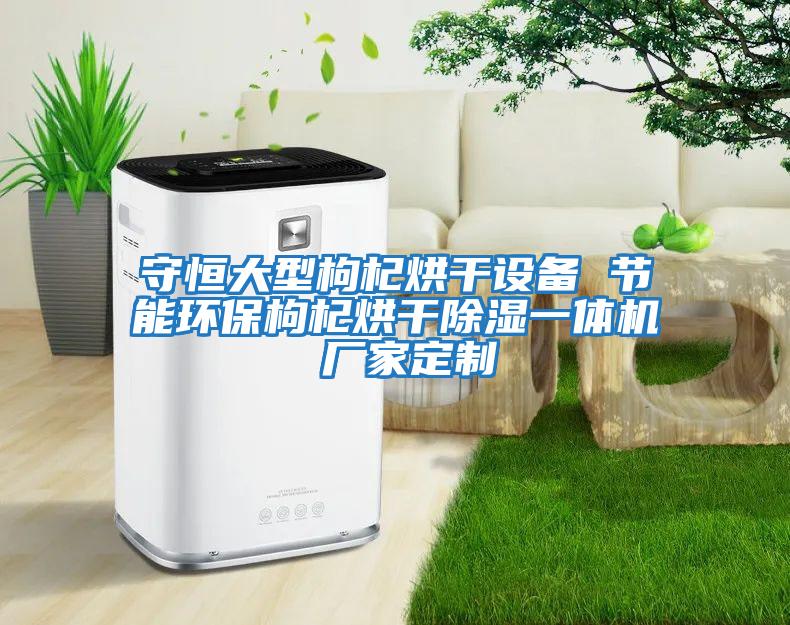 守恒大型枸杞烘干設備 節能環保枸杞烘干除濕一體機 廠家定制