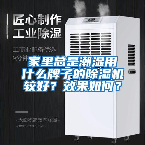 家里總是潮濕用什么牌子的除濕機較好？效果如何？