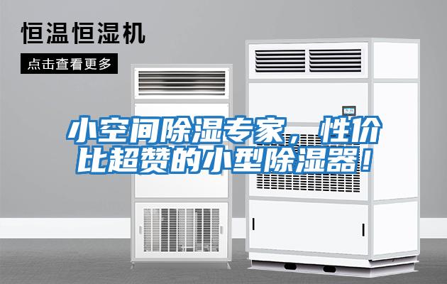 小空間除濕專家，性價比超贊的小型除濕器！