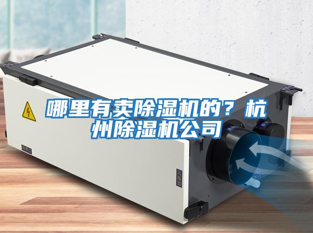 哪里有賣除濕機的？杭州除濕機公司
