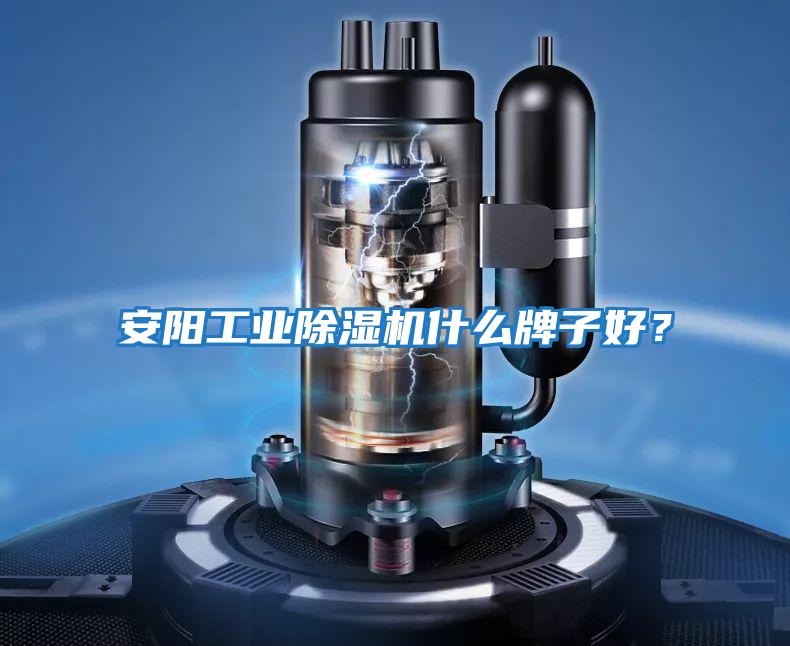 安陽工業除濕機什么牌子好？