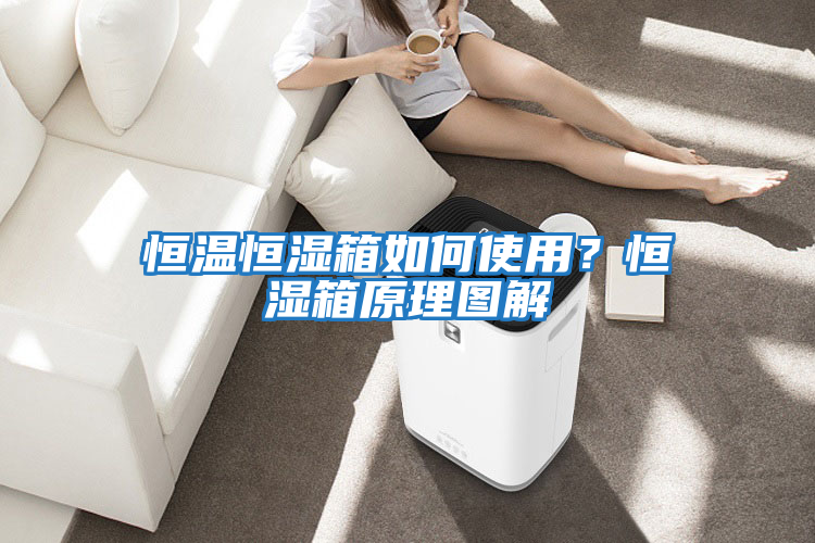 恒溫恒濕箱如何使用？恒濕箱原理圖解