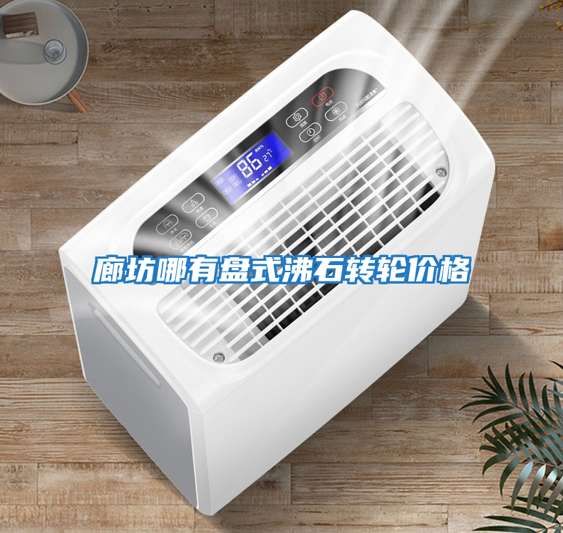 廊坊哪有盤式沸石轉輪價格