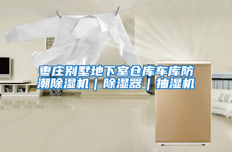 棗莊別墅地下室倉庫車庫防潮除濕機｜除濕器｜抽濕機