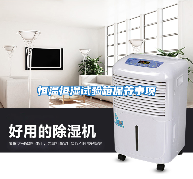 恒溫恒濕試驗箱保養事項