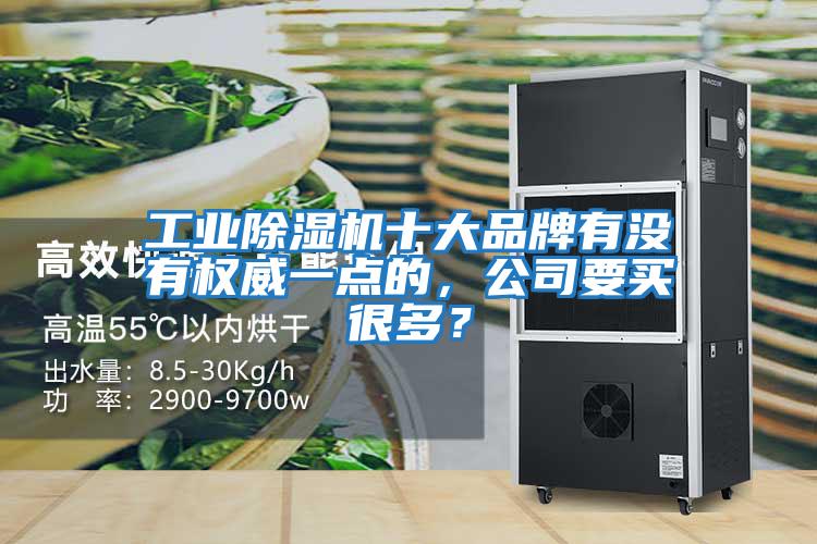 工業除濕機十大品牌有沒有權威一點的，公司要買很多？