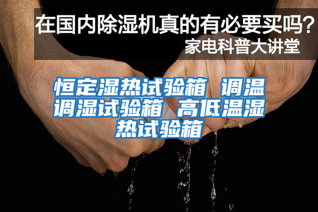 恒定濕熱試驗箱 調溫調濕試驗箱 高低溫濕熱試驗箱