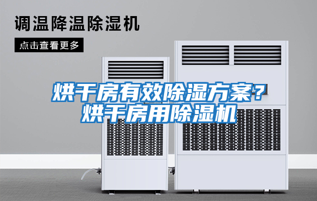 烘干房有效除濕方案？烘干房用除濕機