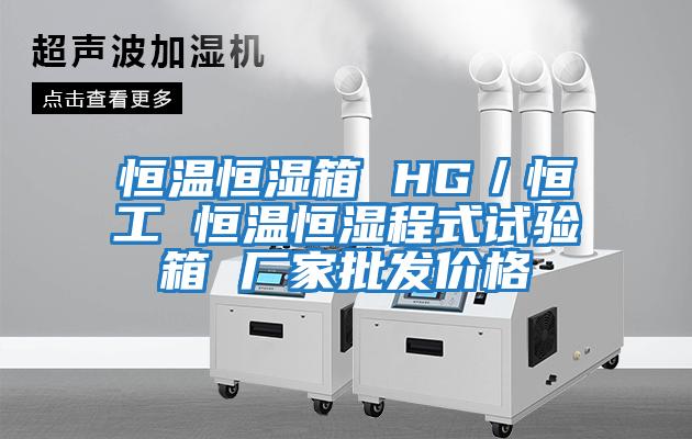 恒溫恒濕箱 HG／恒工 恒溫恒濕程式試驗箱 廠家批發價格