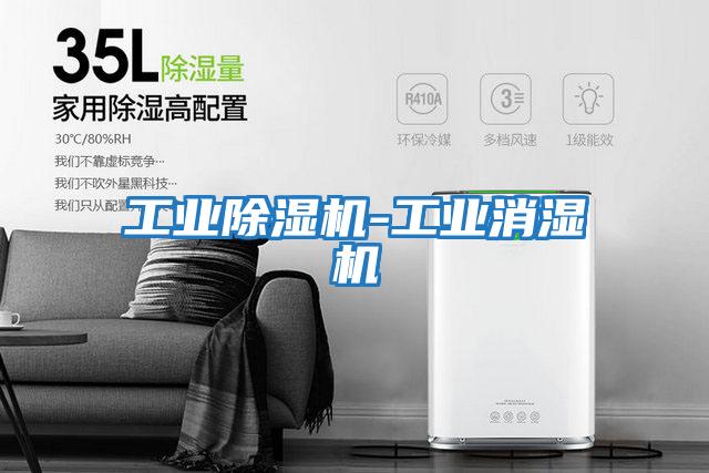 工業除濕機-工業消濕機