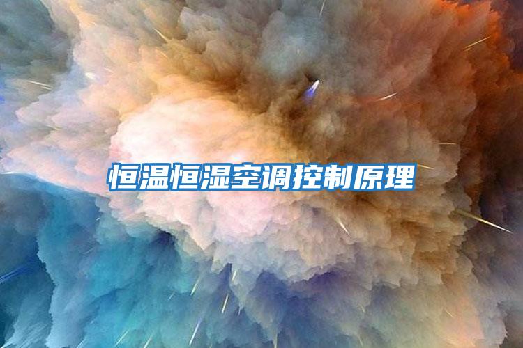 恒溫恒濕空調控制原理