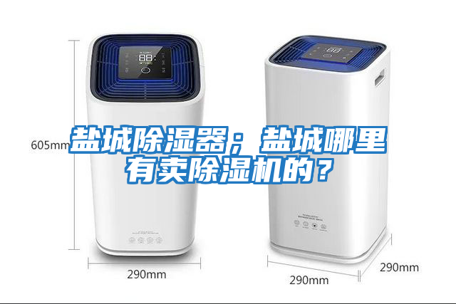 鹽城除濕器；鹽城哪里有賣除濕機的？