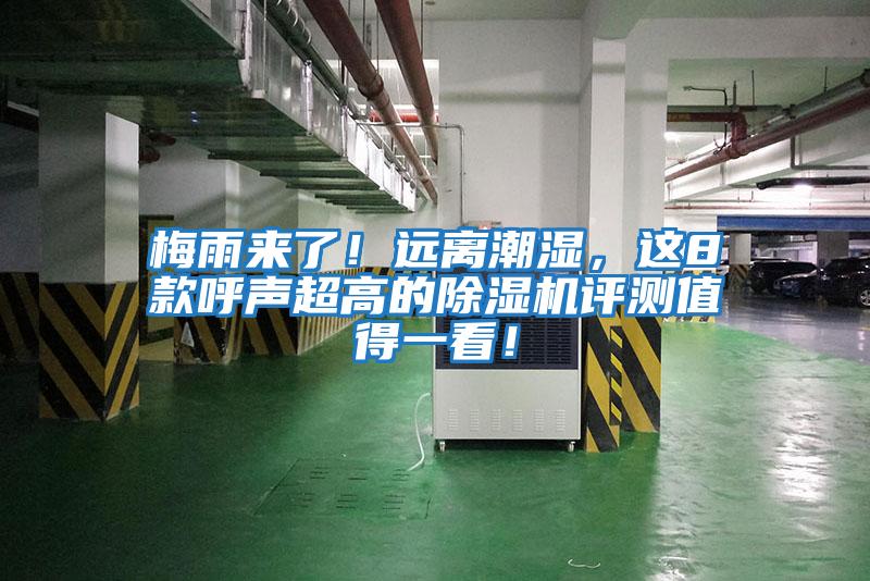 梅雨來了！遠離潮濕，這8款呼聲超高的除濕機評測值得一看！