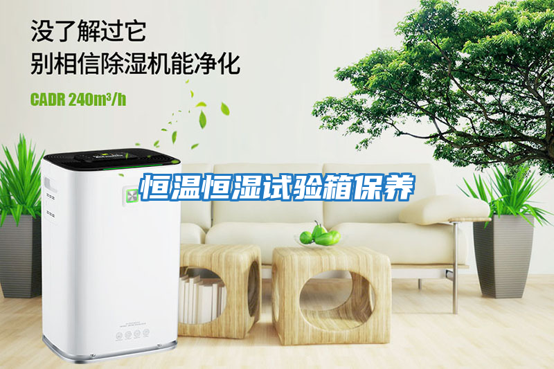 恒溫恒濕試驗箱保養
