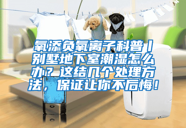 氧添負(fù)氧離子科普丨別墅地下室潮濕怎么辦？這結(jié)幾個處理方法，保證讓你不后悔！