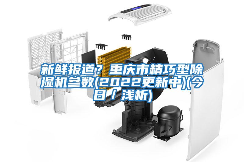 新鮮報道？重慶市精巧型除濕機參數(2022更新中)(今日／淺析)
