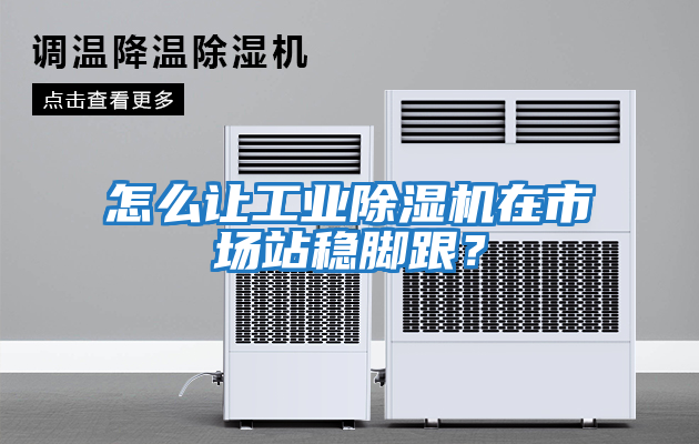 怎么讓工業除濕機在市場站穩腳跟？