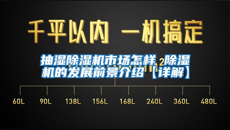 抽濕除濕機市場怎樣 除濕機的發展前景介紹【詳解】