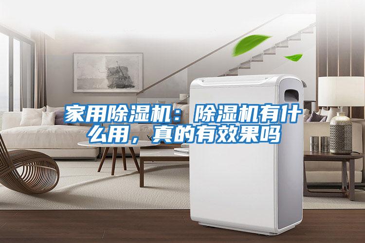 家用除濕機:除濕機有什么用,真的有效果嗎
