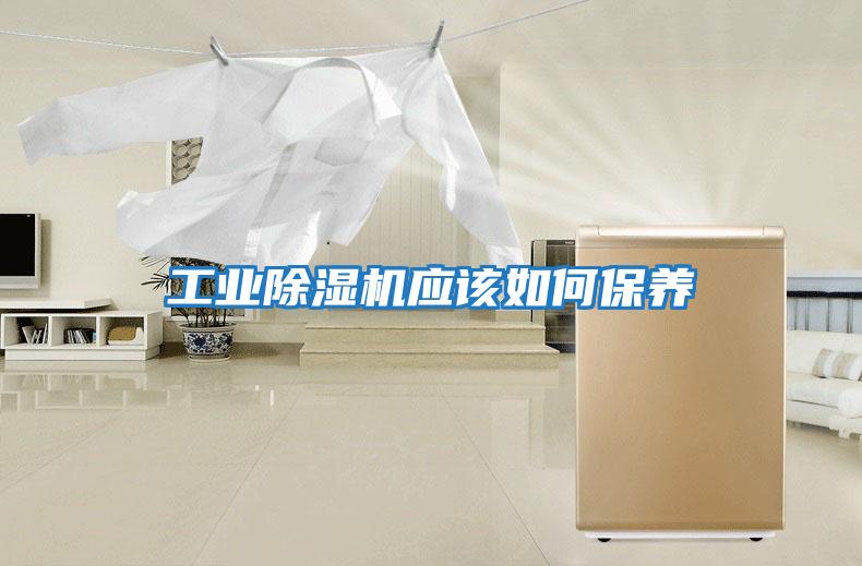 工業除濕機應該如何保養