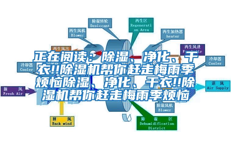正在閱讀：除濕、凈化、干衣!!除濕機幫你趕走梅雨季煩惱除濕、凈化、干衣!!除濕機幫你趕走梅雨季煩惱