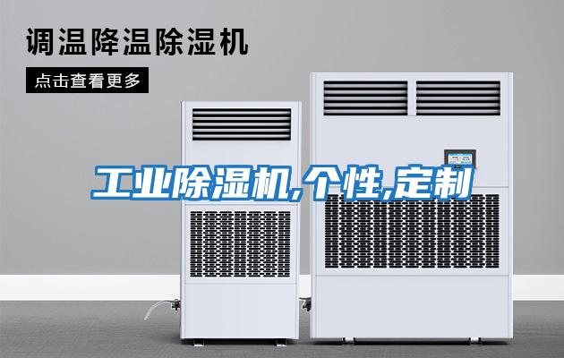 工業除濕機,個性,定制