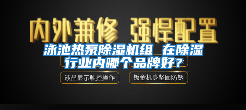 泳池熱泵除濕機組 在除濕行業(yè)內(nèi)哪個品牌好？