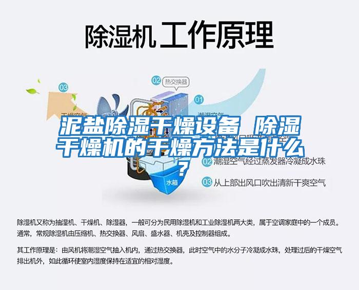 泥鹽除濕干燥設(shè)備 除濕干燥機的干燥方法是什么？