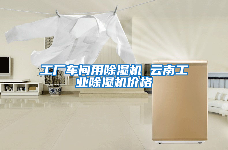 工廠車間用除濕機 云南工業除濕機價格