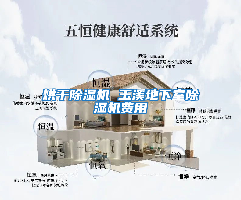 烘干除濕機 玉溪地下室除濕機費用