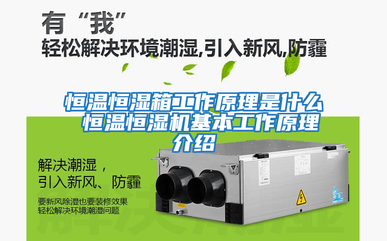 恒溫恒濕箱工作原理是什么 恒溫恒濕機基本工作原理介紹