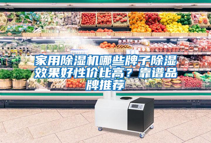 家用除濕機哪些牌子除濕效果好性價比高？靠譜品牌推薦