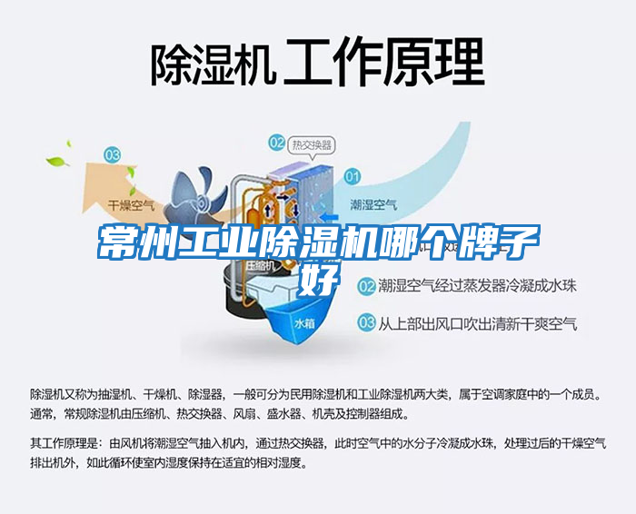 常州工業除濕機哪個牌子好