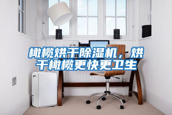 橄欖烘干除濕機，烘干橄欖更快更衛生