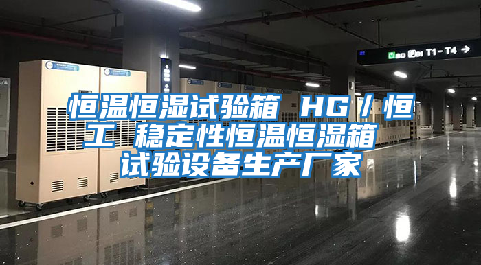恒溫恒濕試驗箱 HG／恒工 穩定性恒溫恒濕箱 試驗設備生產廠家