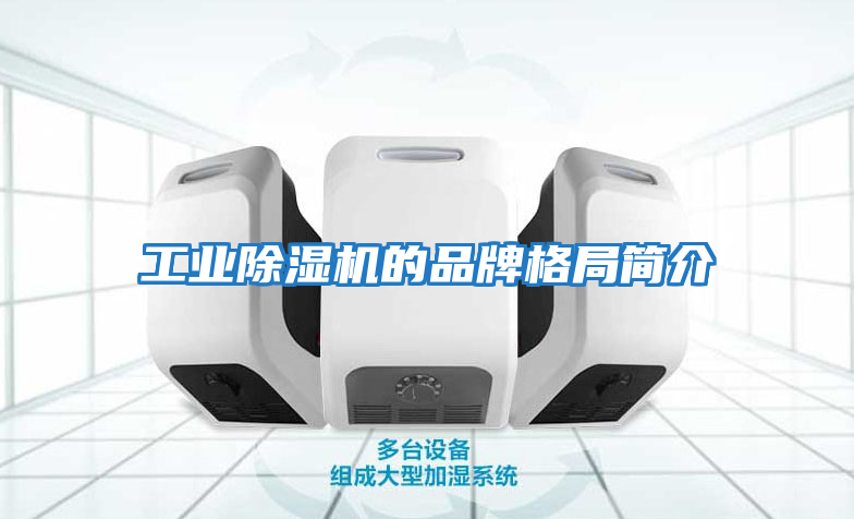 工業除濕機的品牌格局簡介