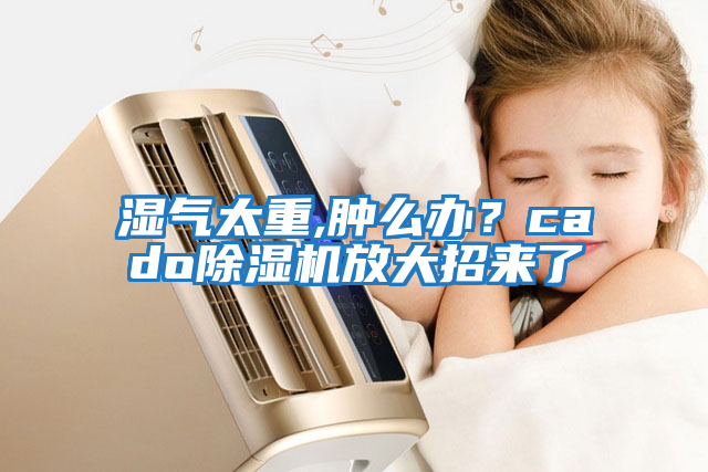 濕氣太重,腫么辦?cado除濕機放大招來了