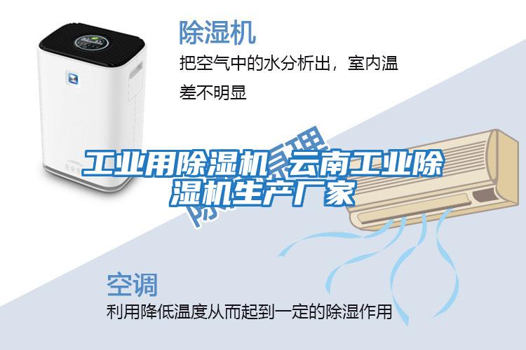 工業用除濕機 云南工業除濕機生產廠家