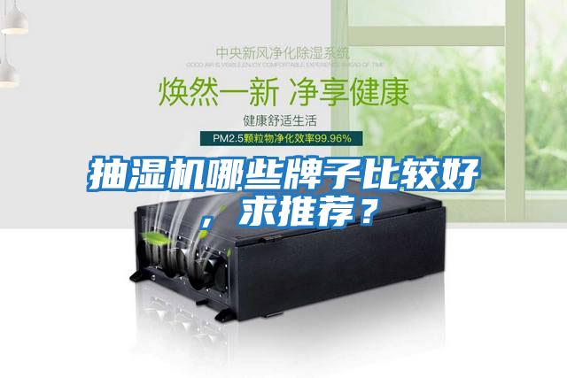 抽濕機哪些牌子比較好，求推薦？